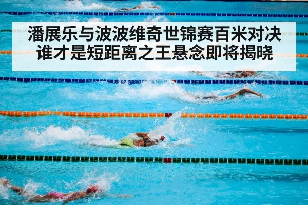 swimming pool competition