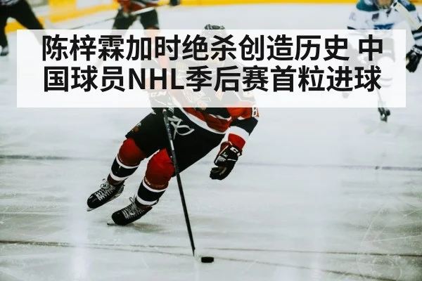 hockey player skating