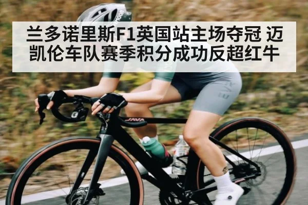 兰多诺里斯F1英国站主场夺冠 迈凯伦车队赛季积分成功反超红牛