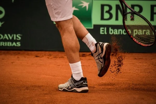 Davis Cup tennis crowd